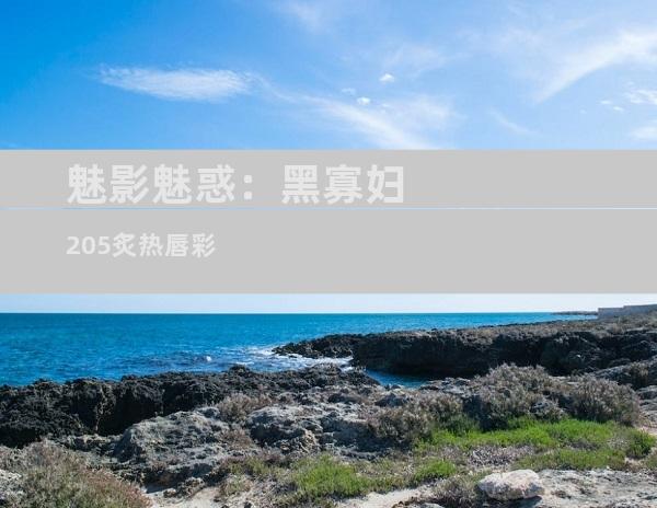 魅影魅惑：黑寡妇205炙热唇彩