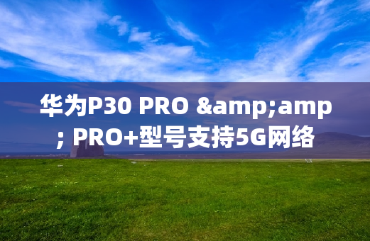 华为P30 PRO &amp; PRO+型号支持5G网络