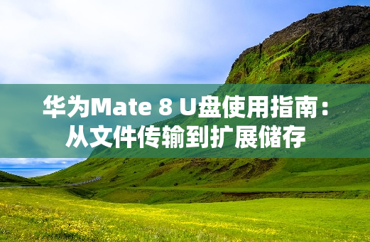 华为Mate 8 U盘使用指南：从文件传输到扩展储存