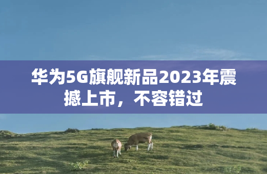 华为5G旗舰新品2023年震撼上市，不容错过