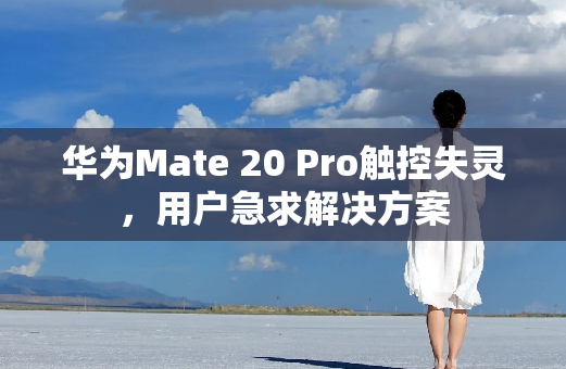 华为Mate 20 Pro触控失灵，用户急求解决方案