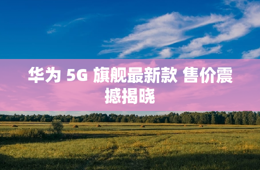 华为 5G 旗舰最新款 售价震撼揭晓